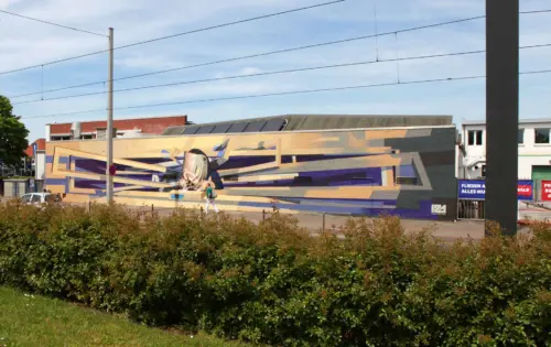 DVS Graffiti
