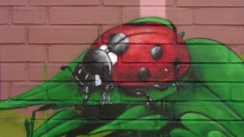 Graffiti – Familien Bildungsstätte in Hannover